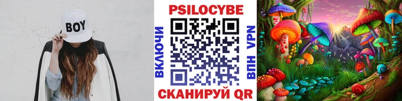 закладки  Калининград  Галлюциногенные грибы мухоморы 