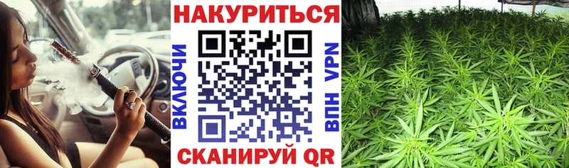 Канабис конопля даркнет сайт Калининград
